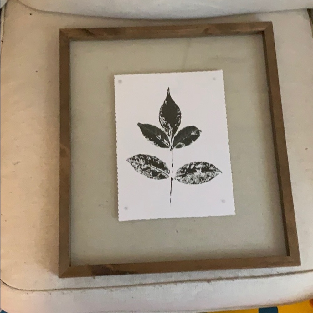 Plant picture